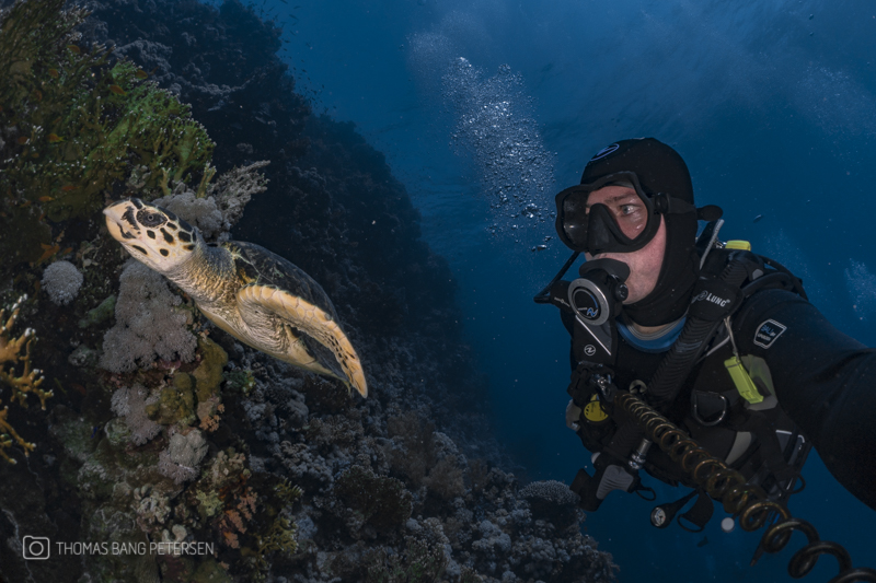 Hvad skal jeg bruge, når jeg dykker? Hvad skal jeg bruge, når jeg dykker?